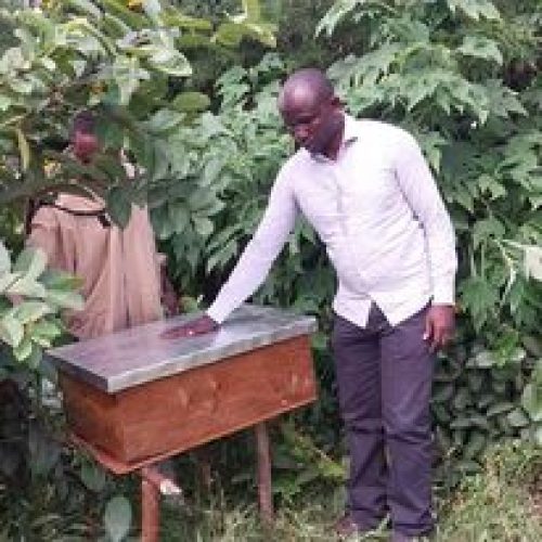 L’APICULTURE POUR UN ENVIRONNEMENT SAIN. LA RDC et l’EGYPTE 2 PAYS CO-ORGANISATEURS de la COP-27 S’alignent